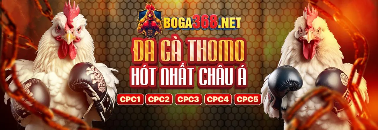 Đá gà trực tuyến 345bet - Trận đấu kịch tính