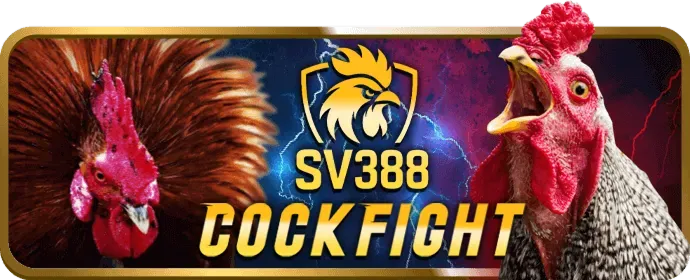 Trải nghiệm Live Casino 345bet